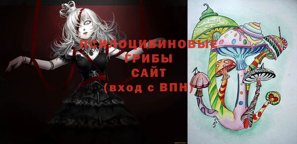 ешки Абинск