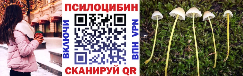 цены   Ангарск  Галлюциногенные грибы GOLDEN TEACHER 